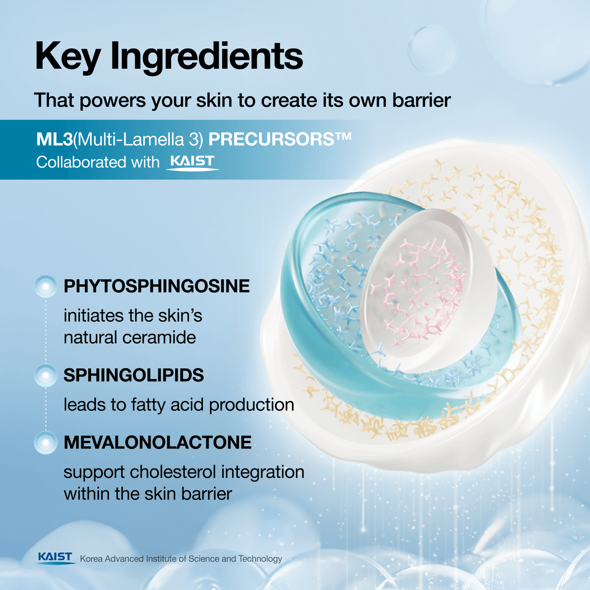 Anua - Barrier Reboot Intensive Cream